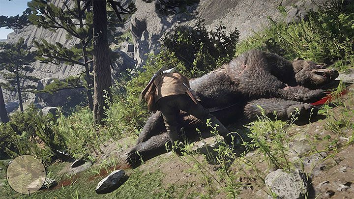 Vergessen Sie nicht, den Bären zu häuten - wie tötet man den legendären Bären in RDR2? - FAQ - Red Dead Redemption 2 Anleitung