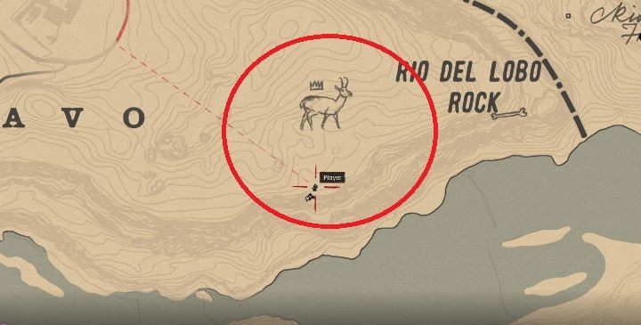 Das Gabelbock befindet sich in dem Bereich, der im obigen Bild markiert ist - Legendäres Gabelbock in Red Dead Redemption 2 - Legendäres Tier - Red Dead Redemption 2 - Leitfaden