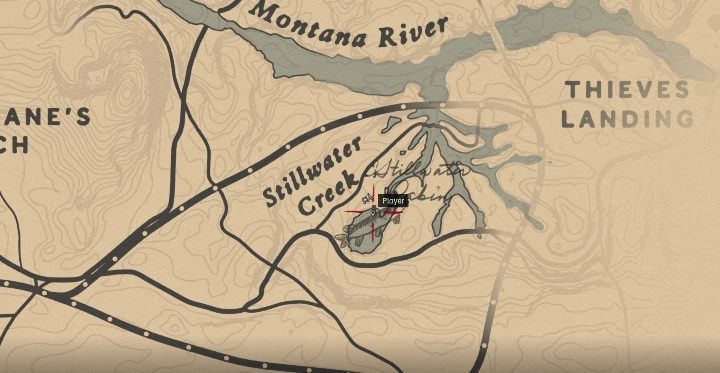 Der Fisch befindet sich im Gewässer in der Nähe kleiner Zweige des Montana River - Legendary Redfin Pickerel im RDR2 - Legendary Fish - Red Dead Redemption 2 Guide