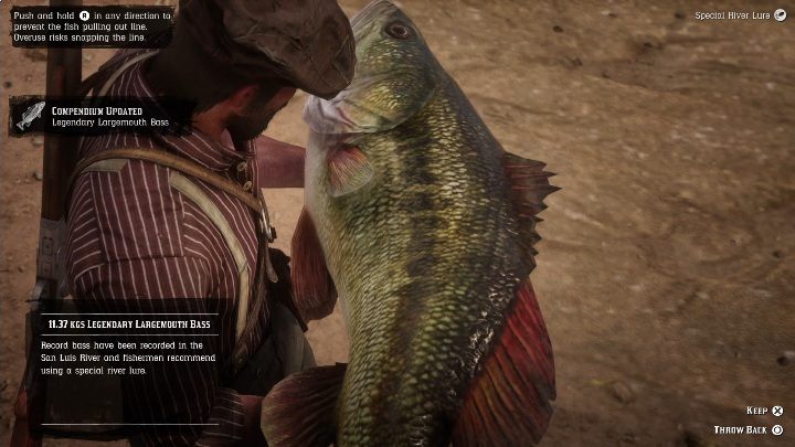 Dieser legendäre Fisch ist riesig - Sie können ihn nicht in Ihr Inventar aufnehmen - Legendärer Forellenbarsch in RDR2 - Legendärer Fisch - Red Dead Redemption 2 Guide