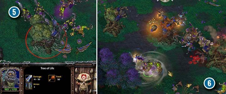 Der Baum des Lebens ist die Quelle für viel Holz (span class = wcn5 / span), aber nur in dieser Mission. Mehrere Nachtelfenbasen haben eine starke Verteidigung - dies ist eine ideale Gelegenheit, um die ultimative Fähigkeit von Höllenschrei auszuprobieren (span class = wcn6 / span). Verwenden Sie es unter Gruppen von Feinden oder in Bereichen voller Gebäude. - Die Geister von Ashenvale | Warcraft III Reforged Walkthrough - Ork-Kampagne - Warcraft III Reforged Guide
