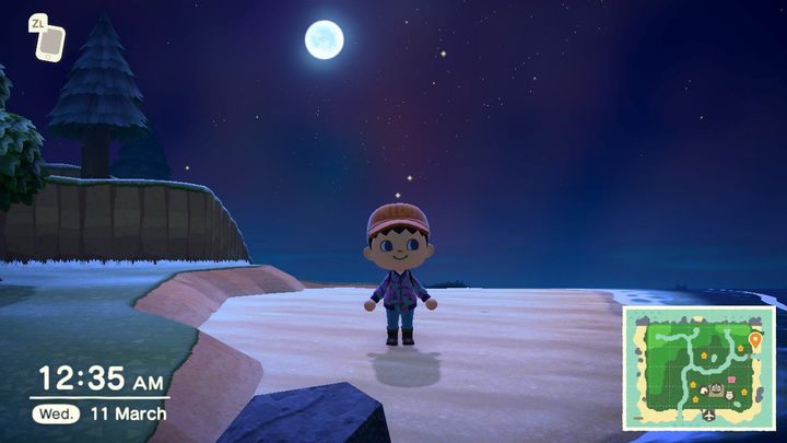 Nachts können Sie andere Insekten oder Fische fangen als tagsüber. - Animal Crossing New Horizons Guide