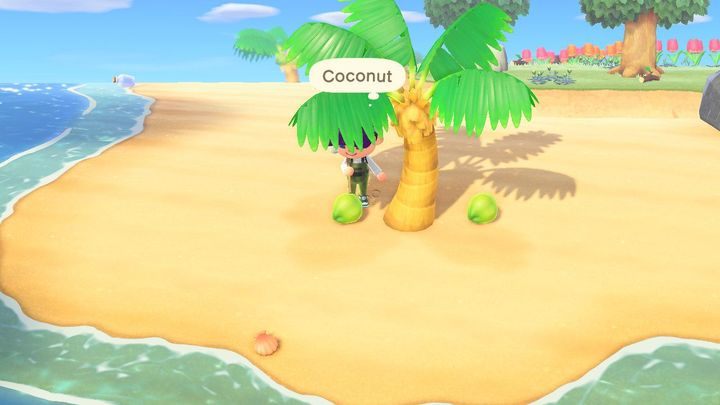Bäume sind eine Quelle wertvoller Ressourcen: Früchte, Holz, Stöcke. - Animal Crossing: Starttipps - Grundlagen - Animal Crossing New Horizons Guide
