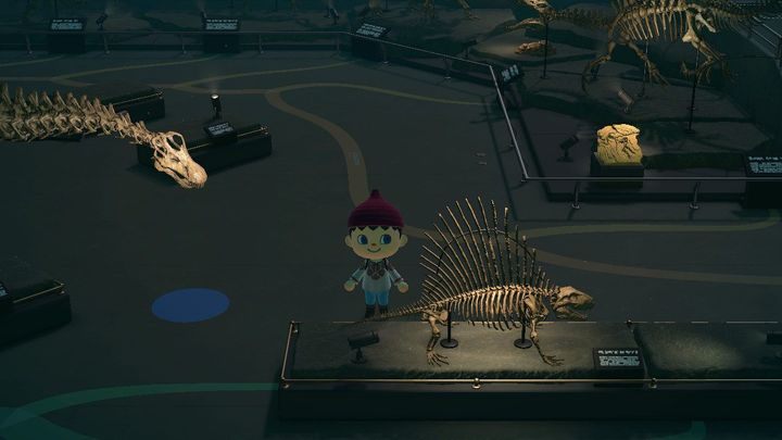 Das Museum sieht von innen großartig aus, Sie sollten es von Zeit zu Zeit besuchen. - Animal Crossing: Starttipps - Grundlagen - Animal Crossing New Horizons Guide