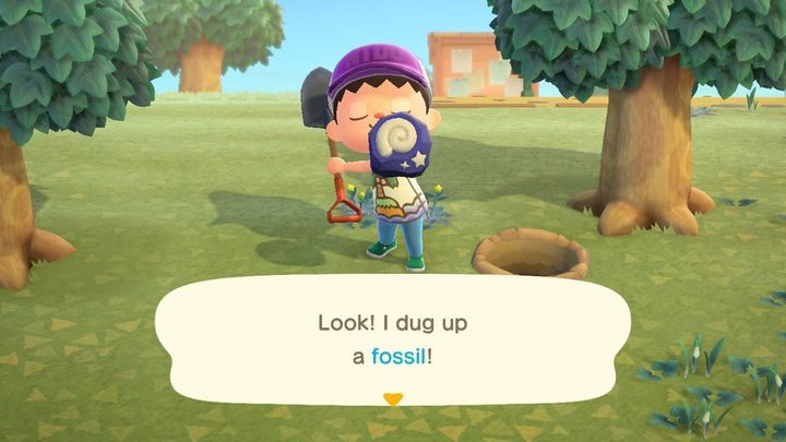 Erfolg! - Animal Crossing: Fossilien - wo findet man sie? - Gegenstände - Animal Crossing New Horizons Guide