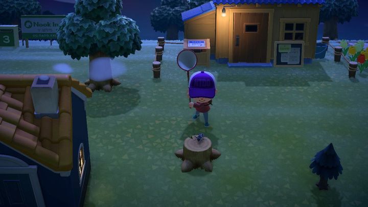 Insekten sitzen gerne auf Baumstämmen. - Animal Crossing: Bäume - wie kann man sie fällen? - Gegenstände - Animal Crossing New Horizons Guide