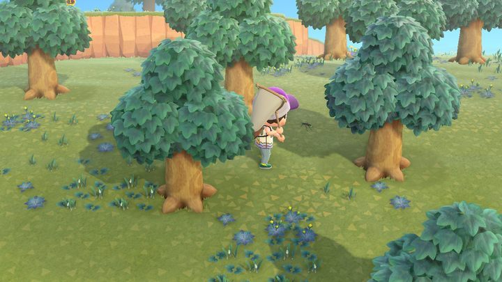 Du musst dich an schüchterne Insekten anschleichen. - Animal Crossing: Insekten - wie fangen? - Gegenstände - Animal Crossing New Horizons Guide