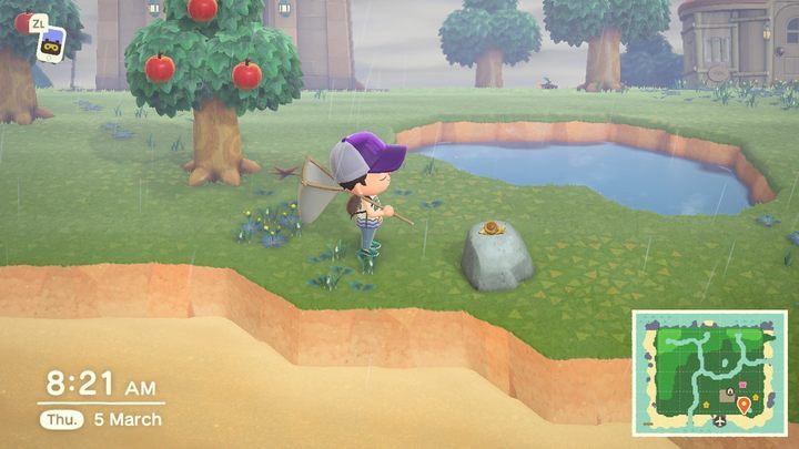 Einige Exemplare können nur bei Regen gefunden werden. - Animal Crossing: Insekten - wie fangen? - Gegenstände - Animal Crossing New Horizons Guide