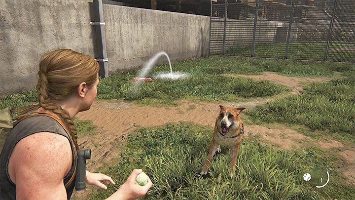 Abby hat viel mehr Möglichkeiten für friedlichen Kontakt mit Hunden, und das liegt daran, dass die WLF-Organisation, zu der sie gehört, defensive Hunde züchtet - The Last of Us 2: Leitfaden für Hunde - Grundlagen - Leitfaden für Last of Us 2
