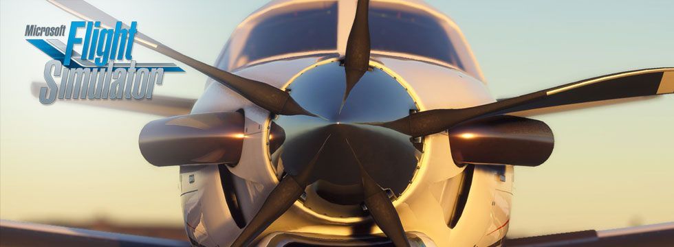 Microsoft Flight Simulator: Flight Plan – erweiterte Version
Tipps
