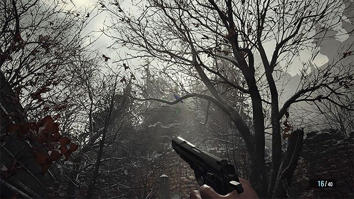 Sie können ein Scharfschützengewehr verwenden, um den seltenen Vogel zu töten, oder Sie können näher kommen und eine normale Pistole verwenden - Resident Evil Village: Juicy Game-Zutat - wie kommt man dazu?  - FAQ - Resident Evil Village Guide