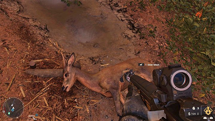 Versuchen Sie bei der Jagd, sich an das Tier heranzuschleichen, um es nicht zu erschrecken oder zu alarmieren (wenn es ein Raubtier ist) - Far Cry 6: Jagen und Angeln - Grundlagen - Far Cry 6 Guide