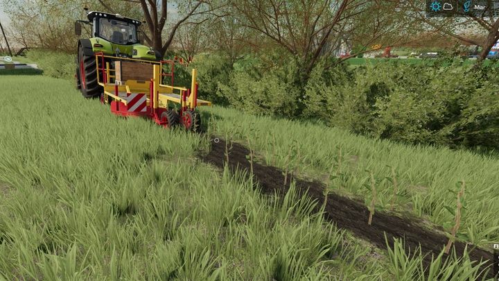 Pappeln können sogar um Ihr Grundstück herum gepflanzt werden - die Maschinen werden nicht mit ihnen kollidieren - Landwirtschafts-Simulator 22: Pappeln - Forst- und Holzwirtschaft - Landwirtschafts-Simulator 22-Handbuch