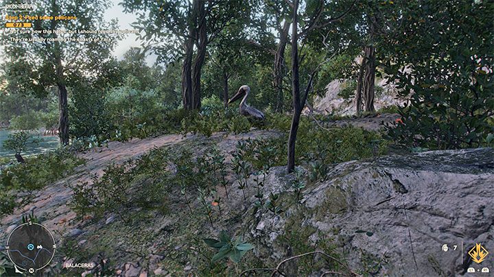 Für die zweite Herausforderung müssen Sie 3 Pelikane mit den gefangenen Fischen füttern – Far Cry 6: Shock Therapy – Komplettlösung – Valle De Oro – Far Cry 6 Guide