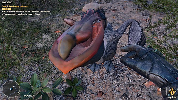 Vermeiden Sie es natürlich, Pelikane anzugreifen, und ignorieren Sie auch Pelikane, die auf dem Wasser schwimmen – Far Cry 6: Shock Therapy – Komplettlösung – Valle De Oro – Far Cry 6 Guide