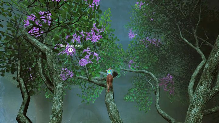 Purple Plant befindet sich auf einem Baum, auf den Sie klettern können, in den unteren Ebenen des Dorfes (Screenshot 1) – Streuner: Abzeichen – Liste aller – Geheimnisse und Sammlerstücke – Streunerführer, Komplettlösung