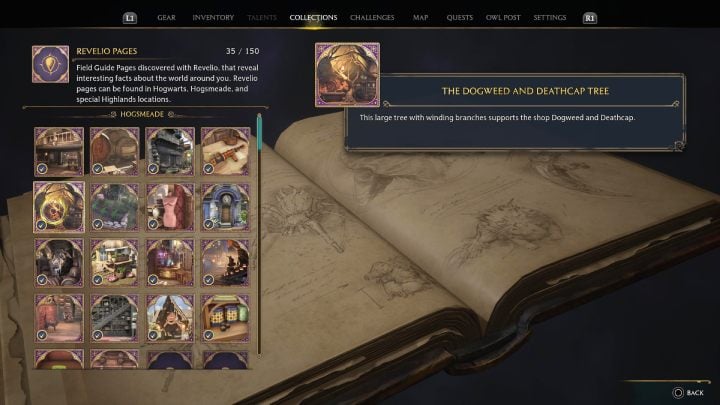 Sie finden alle erworbenen Revelio-Seiten auf der Registerkarte „Sammlungen“ im Hauptmenü – Hogwarts Legacy: Wie finde ich Field Guide Pages?  - Kampf und Erkundung - Hogwarts Legacy Guide