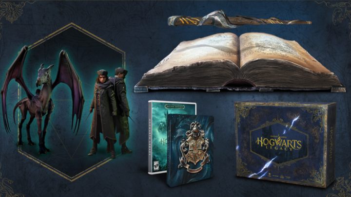 Diese Edition wird für PlayStation- und Xbox-Konsolen (einschließlich der alten Generation) sowie für PC verfügbar sein – Hogwarts Legacy: Spieleditionen – Anhang – Hogwarts Legacy Guide
