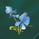 Blaue Blume – Forever Skies: Alle Pflanzen – Ressourcen – Forever Skies Guide