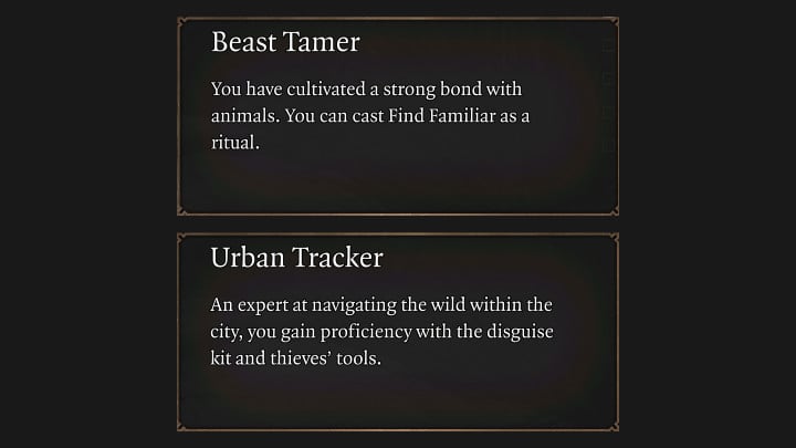 Wenn Ihr Held der einzige Charakter im Team sein soll, der die Schlösser knacken kann, ist es auf jeden Fall besser, Urban Tracker – Baldurs Gate 3: Ranger – Best Build – Ranger – Baldurs Gate 3 Guide, Walkthrough zu wählen