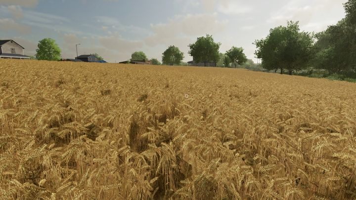 Gerste ähnelt Weizen – Landwirtschafts-Simulator 22: Getreide – Weizen, Hafer, Gerste, Sorghum – Feldarbeit – Landwirtschafts-Simulator 22-Anleitung