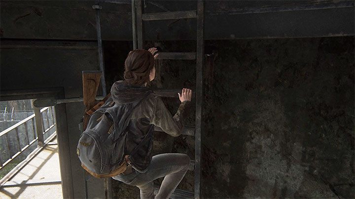Geh nicht unter – The Last of Us 2: The Gate – Sammlerstücke, Artefakte, Münzen – Seattle Tag 1 – Ellie – The Last of Us 2 Guide