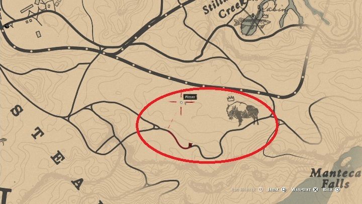 Der Bison kann in dem im Bild oben markierten Bereich gefunden werden – Red Dead Redemption 2: Legendärer Tatanka-Bison – Karten, Tipps – Legendäre Tiere – Red Dead Redemption 2 Guide