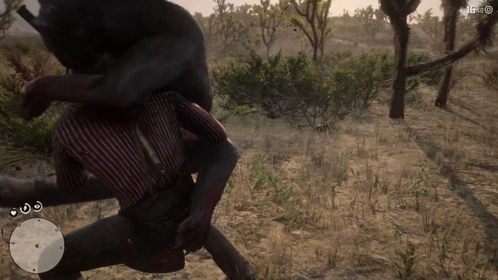 Der Puma ist äußerst aggressiv und gefährlich – Red Dead Redemption 2: Legendärer Puma – Karten, Tipps – Legendäre Tiere – Red Dead Redemption 2 Guide