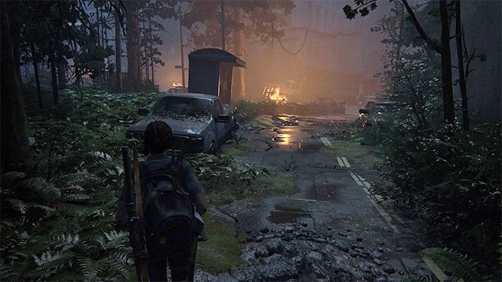 The opportunity to make this entry appears during In Search of Nora after the first encounter with Scars (hostile cultists) Head to the other end of the park, where a few bonfires are burning - The Last of Us 2: In Search of Nora, The Seraphites - artefacts, coins - Seattle Day 2 - Ellie - The Last of Us 2 Guide