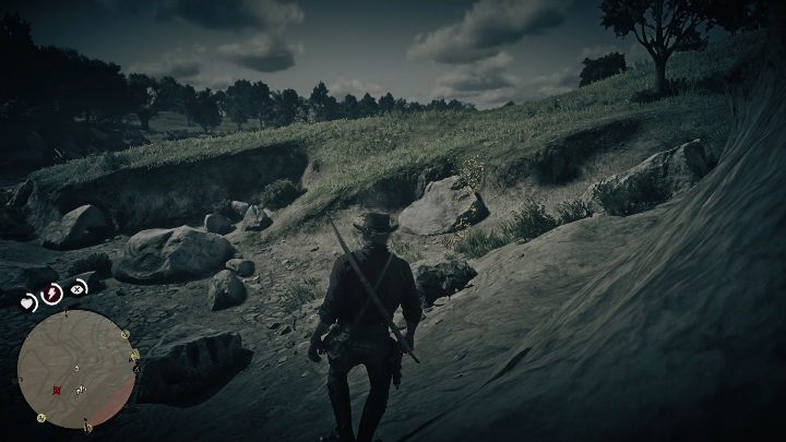 The bones are located between large stones - Red Dead Redemption 2: Dinosaur Bones - where to find all of them? Maps - Dinosaur bones and Rock Carvings - Red Dead Redemption 2 Guide