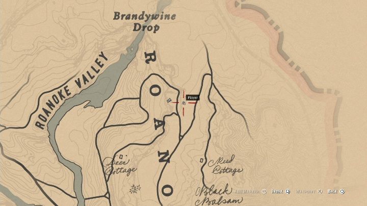 These bones are located in the eastern part of Roanoke Valley - Red Dead Redemption 2: Dinosaur Bones - where to find all of them? Maps - Dinosaur bones and Rock Carvings - Red Dead Redemption 2 Guide