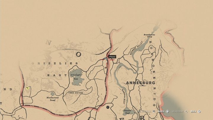 These bones are located in the place between Annesburgh and OCreaghs Run - Red Dead Redemption 2: Dinosaur Bones - where to find all of them? Maps - Dinosaur bones and Rock Carvings - Red Dead Redemption 2 Guide
