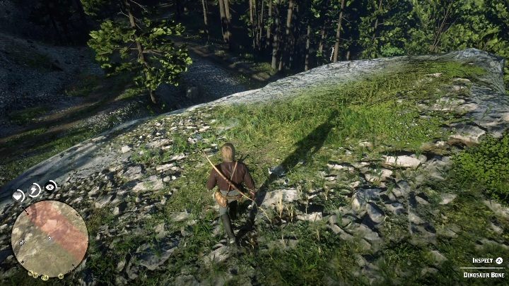 This bone lies on top of a cliff - Red Dead Redemption 2: Dinosaur Bones - where to find all of them? Maps - Dinosaur bones and Rock Carvings - Red Dead Redemption 2 Guide