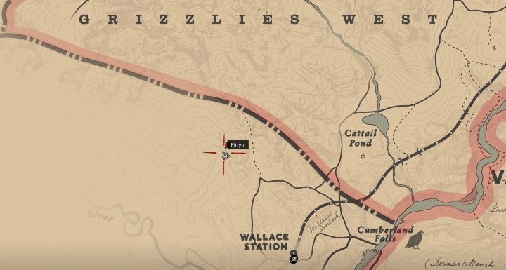 Theyre located north-west from Wallace Staton - Red Dead Redemption 2: Dinosaur Bones - where to find all of them? Maps - Dinosaur bones and Rock Carvings - Red Dead Redemption 2 Guide