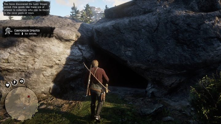Get inside the cave - Red Dead Redemption 2: Dinosaur Bones - where to find all of them? Maps - Dinosaur bones and Rock Carvings - Red Dead Redemption 2 Guide