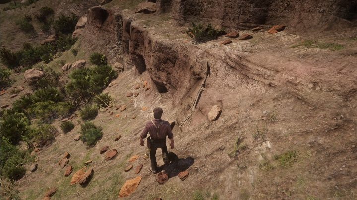 The bone is on the hillside - Red Dead Redemption 2: Dinosaur Bones - where to find all of them? Maps - Dinosaur bones and Rock Carvings - Red Dead Redemption 2 Guide