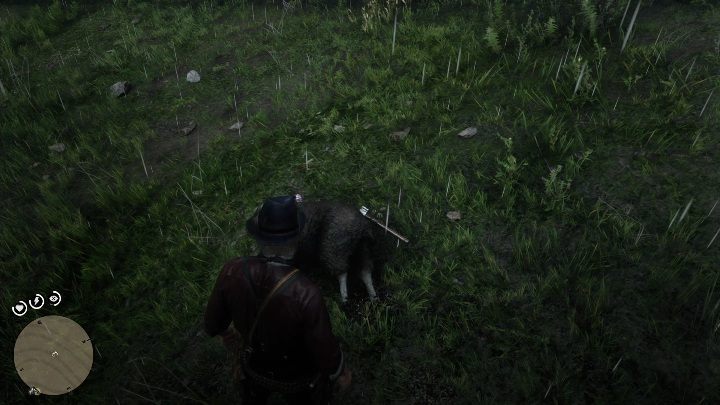 The hatchet is stuck in a tree stump in front of the cabin - Red Dead Redemption 2: Unique items - maps, locations, tips - Secrets and collectibles - Red Dead Redemption 2 Guide