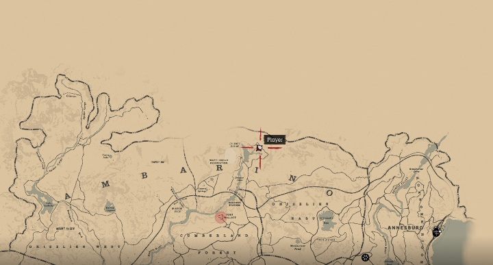 22 - Red Dead Redemption 2: Unique items - maps, locations, tips - Secrets and collectibles - Red Dead Redemption 2 Guide