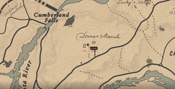 The book is in the eastern part of Grizzlies West - Red Dead Redemption 2: Unique items - maps, locations, tips - Secrets and collectibles - Red Dead Redemption 2 Guide