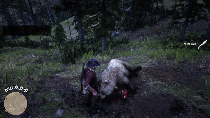 The Antler Knife is in a bears carcass - Red Dead Redemption 2: Unique items - maps, locations, tips - Secrets and collectibles - Red Dead Redemption 2 Guide