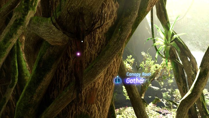 7 – Avatar Frontiers of Pandora: Wie bekomme ich Herstellungsmaterialien für einen schweren Bogen?  - FAQ – Avatar Frontiers of Pandora-Leitfaden