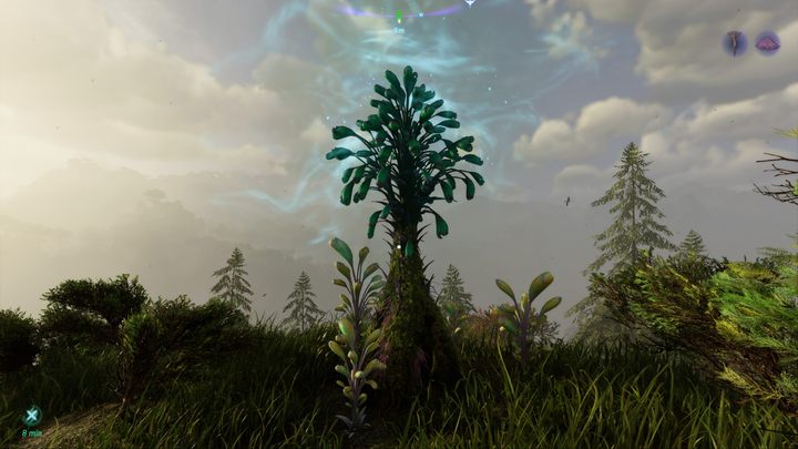 3 – Avatar Frontiers of Pandora: All Bellsprigs – Clouded Forest – Geheimnisse und Sammlerstücke – Avatar Frontiers of Pandora Guide