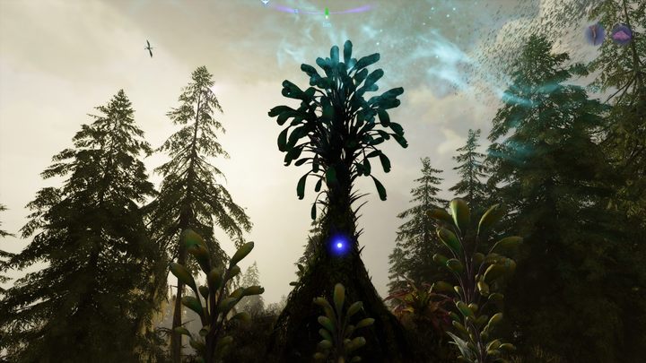 11 – Avatar Frontiers of Pandora: All Bellsprigs – Clouded Forest – Geheimnisse und Sammlerstücke – Avatar Frontiers of Pandora Guide