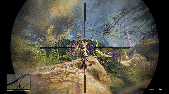Erster Elch – Freiwild – Fremde und Freaks-Missionen – GTA 5-Leitfaden