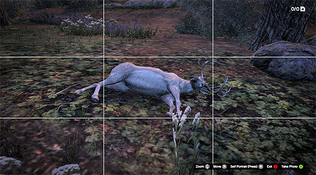 Der Hinweis auf den letzten Elch ist ohne Cletus-Hilfe möglich – Freiwild – Fremde und Freaks-Missionen – GTA 5-Leitfaden