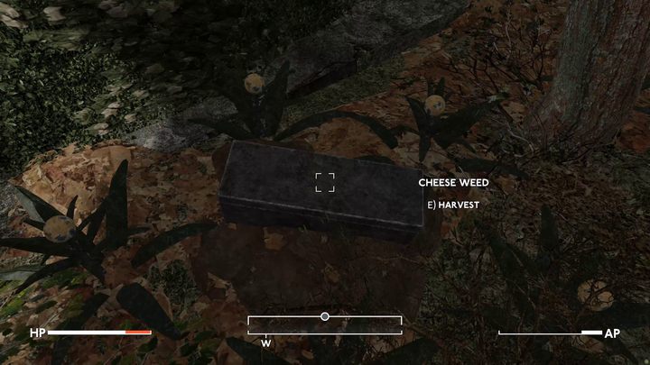 Lazarus‘ Vorratskiste befindet sich zwischen zwei Bäumen auf dem Friedhof, rund um die Cheese Weed-Blumen - Fallout London: Wo finde ich Lazarus? - Quests - Fallout London Guide