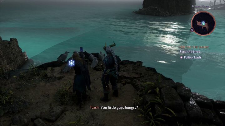 5 - Dragon Age Veilguard: Taash quests - Companion quests - Dragon Age Veilguard Guide