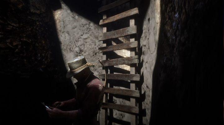 Um diese Knochen zu erhalten, müssen Sie die Leiter hinunter in das Loch gehen - Dinosaurierknochen in Red Dead Redemption 2 - Dinosaurierknochen und Felszeichnungen - Red Dead Redemption 2 - Anleitung