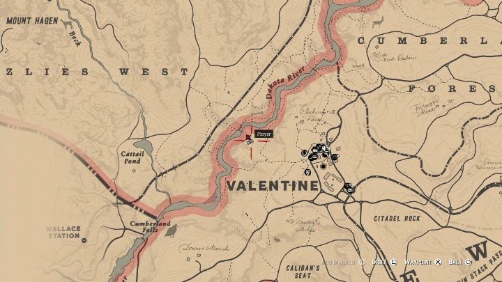 Sie befinden sich nördlich von Valentine in der Nähe von Dakota River - Dinosaurierknochen in Red Dead Redemption 2 - Dinosaurierknochen und Felszeichnungen - Red Dead Redemption 2 Guide