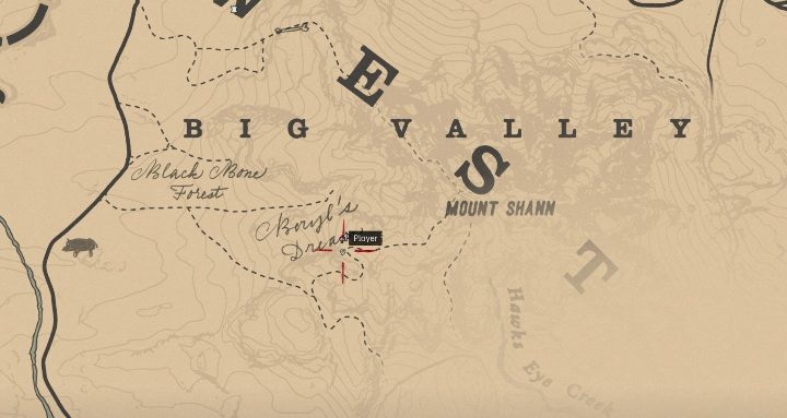Theyre südlich von Big Valley - Dinosaurierknochen in Red Dead Redemption 2 - Dinosaurierknochen und Felszeichnungen - Red Dead Redemption 2 Guide
